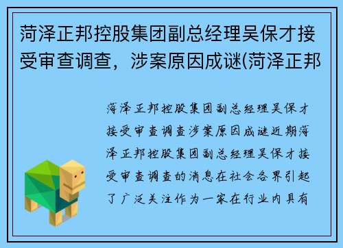 菏泽正邦控股集团副总经理吴保才接受审查调查，涉案原因成谜(菏泽正邦置业开发过哪些地方)